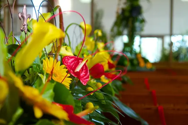 Flower Festival photo 9